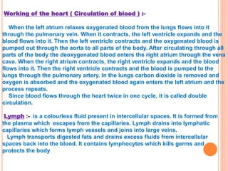 Working of the heart ( Circulation of blood ) :-
When the left atrium relaxes oxygenated blood from the lungs flows into it
through the pulmonary vein. When it contracts, the left ventricle expands and the
blood flows into it. Then the left ventricle contracts and the oxygenated blood is
pumped out through the aorta to all parts of the body. After circulating through all
parts of the body the deoxygenated blood enters the right atrium through the vena
cava. When the right atrium contracts, the right ventricle expands and the blood
flows into it. Then the right ventricle contracts and the blood is pumped to the
lungs through the pulmonary artery. In the lungs carbon dioxide is removed and
oxygen is absorbed and the oxygenated blood again enters the left atrium and the
process repeats.
Since blood flows through the heart twice in one cycle, it is called double
circulation.
Lymph :- is a colourless fluid present in intercellular spaces. It is formed from
the plasma which escapes from the capillaries. Lymph drains into lymphatic
capillaries which forms lymph vessels and joins into large veins.
Lymph transports digested fats and drains excess fluids from intercellular
spaces back into the blood. It contains lymphocytes which kills germs and
protects the body
 