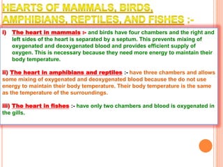 i) The heart in mammals :- and birds have four chambers and the right and
left sides of the heart is separated by a septum. This prevents mixing of
oxygenated and deoxygenated blood and provides efficient supply of
oxygen. This is necessary because they need more energy to maintain their
body temperature.
ii) The heart in amphibians and reptiles :- have three chambers and allows
some mixing of oxygenated and deoxygenated blood because the do not use
energy to maintain their body temperature. Their body temperature is the same
as the temperature of the surroundings.
iii) The heart in fishes :- have only two chambers and blood is oxygenated in
the gills.
 
