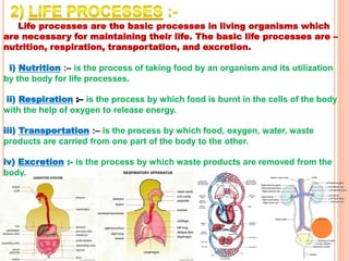 Life processes are the basic processes in living organisms which
are necessary for maintaining their life. The basic life processes are –
nutrition, respiration, transportation, and excretion.
i) Nutrition :– is the process of taking food by an organism and its utilization
by the body for life processes.
ii) Respiration :– is the process by which food is burnt in the cells of the body
with the help of oxygen to release energy.
iii) Transportation :– is the process by which food, oxygen, water, waste
products are carried from one part of the body to the other.
iv) Excretion :- is the process by which waste products are removed from the
body.
 