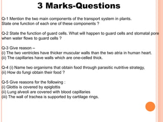 3 Marks-Questions
Q-1 Mention the two main components of the transport system in plants.
State one function of each one of these components ?
Q-2 State the function of guard cells. What will happen to guard cells and stomatal pore
when water flows to guard cells ?
Q-3 Give reason –
(i) The two ventricles have thicker muscular walls than the two atria in human heart.
(ii) The capillaries have walls which are one-celled thick.
Q-4 (i) Name two organisms that obtain food through parasitic nutritive strategy,
(ii) How do fungi obtain their food ?
Q-5 Give reasons for the following :
(i) Glottis is covered by epiglottis
(ii) Lung alveoli are covered with blood capillaries
(iii) The wall of trachea is supported by cartilage rings.
 