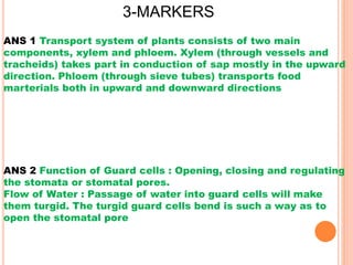3-MARKERS
ANS 1 Transport system of plants consists of two main
components, xylem and phloem. Xylem (through vessels and
tracheids) takes part in conduction of sap mostly in the upward
direction. Phloem (through sieve tubes) transports food
marterials both in upward and downward directions
ANS 2 Function of Guard cells : Opening, closing and regulating
the stomata or stomatal pores.
Flow of Water : Passage of water into guard cells will make
them turgid. The turgid guard cells bend is such a way as to
open the stomatal pore
 