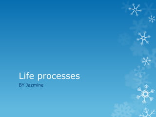 Life processes
BY Jazmine
 