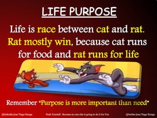 race cat rat.
Rat mostly win
rat runs for life
Remember “Purpose is more important than need”
@linkedIn Joao Tiago Ilunga Push Yourself . Because no one else is going to do it for You @twitter Joao Tiago Ilunga
 