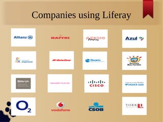 Companies using Liferay
 