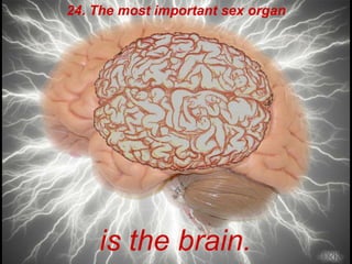 24. The most important sex organ is the brain.