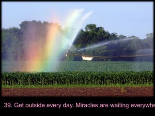 39. Get outside every day. Miracles are waiting everywhere.
