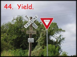 44.  Yield.