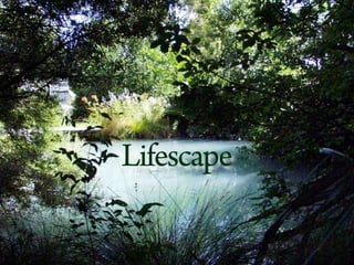 Lifescape
 