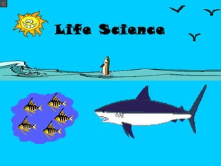Life Science
 