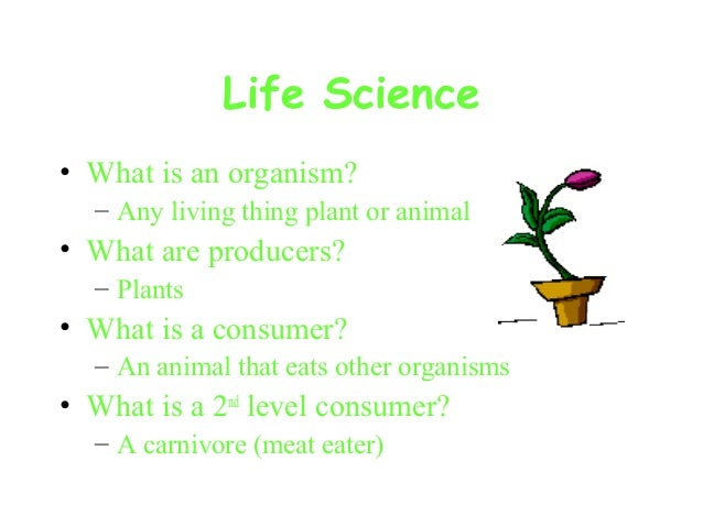 What Is Biography In Science | life science What Is Biography In Science | life science
