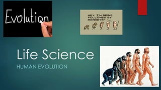 Life Science 
HUMAN EVOLUTION 
 