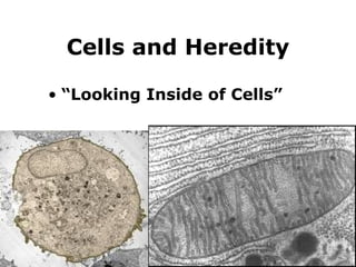 Cells and Heredity ,[object Object]