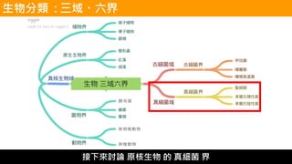 生物分類 : 三域、六界
接下來討論 原核生物 的 真細菌 界
 