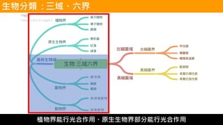 生物分類 : 三域、六界
植物界能行光合作用、原生生物界部分能行光合作用
 