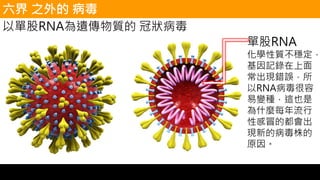 以單股RNA為遺傳物質的 冠狀病毒
單股RNA
化學性質不穩定，
基因記錄在上面
常出現錯誤，所
以RNA病毒很容
易變種，這也是
為什麼每年流行
性感冒的都會出
現新的病毒株的
原因。
六界 之外的 病毒
 