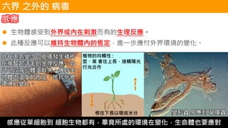 感應
⚫ 生物體感受到外界或內在刺激而有的生理反應。
⚫ 此種反應可以維持生物體內的恆定，進一步應付外界環境的變化。
外在天氣變冷，皮膚發生雞皮
疙瘩豎起汗毛的生理反應，如
此可以減少體溫散失，維持生
物體內溫度的恆定，抵抗外界
環境的變化。
植物的向觸性 :
莖、葉 會往上長，接觸陽光
行光合作
根往下長以吸收水分 變形蟲 感應到 草履蟲
感應從單細胞到 細胞生物都有，畢竟所處的環境在變化，生命體也要應對
六界 之外的 病毒
 