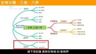 生物分類 : 三域、六界
接下來討論 真核生物域 的 動物界
 