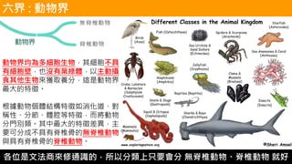 3 3 生物分類 病毒