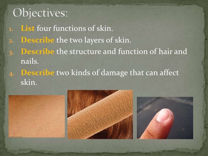 four protective functions of the skin