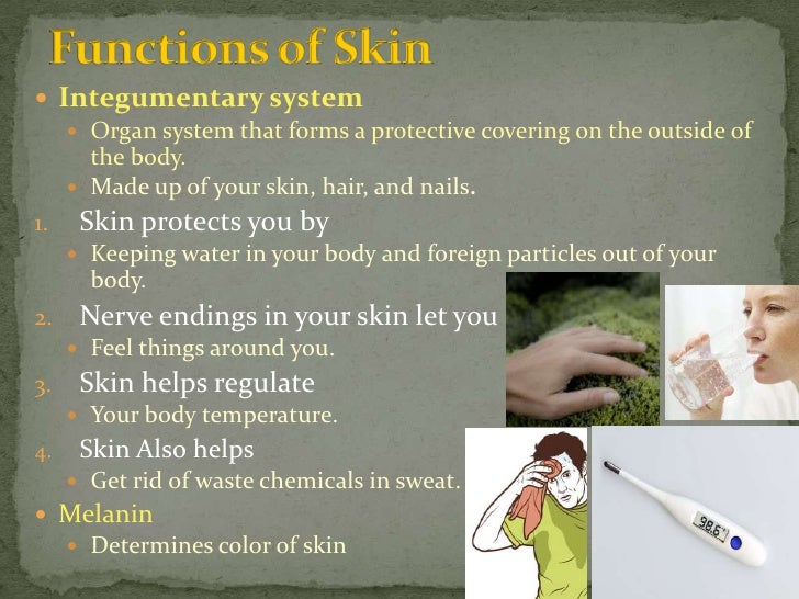 Life Science 1.4 : The Integumentary System