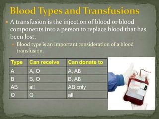Life Science 2.2 : Blood | PPTX