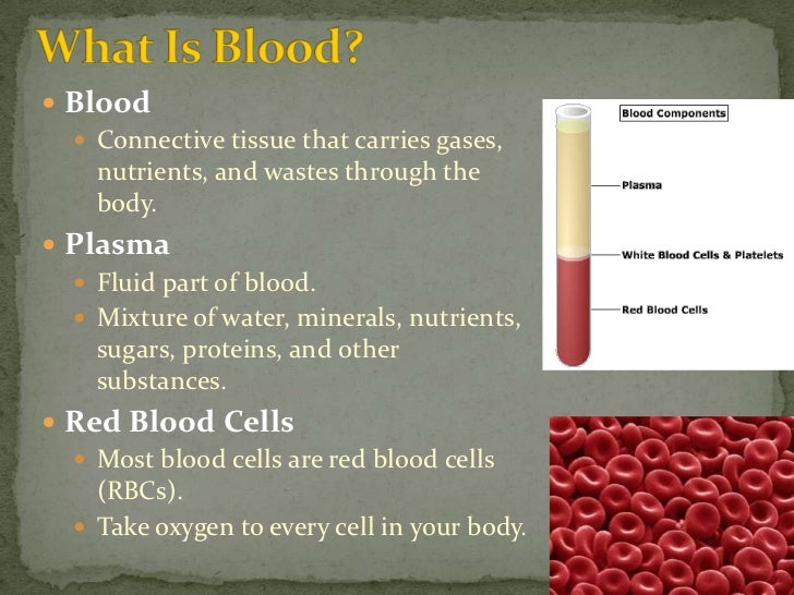 what is the chemical makeup of human blood