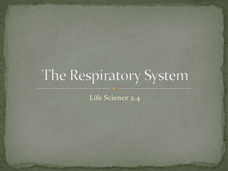 Life Science 2.4 The Respiratory System 