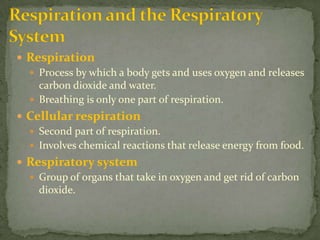 Respiration and the Respiratory SystemRespiration Process by which a body gets and uses oxygen and releases carbon dioxide and water. Breathingis only one part of respiration.Cellular respiration Second part of respiration.Involves chemical reactions that release energy from food.Respiratory systemGroup of organs that take in oxygen and get rid of carbon dioxide.