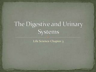 Life Science Chapter 3 The Digestive and Urinary Systems 