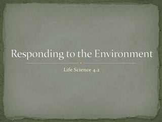 Life Science 4.2 Responding to the Environment 