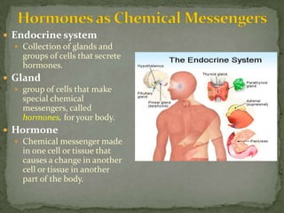 Hormones as Chemical MessengersEndocrine systemCollection of glands and groups of cells that secrete hormones.Glandgroup of cells that make special chemical messengers, called hormones, for your body.HormoneChemical messenger made in one cell or tissue that causes a change in another cell or tissue in another part of the body.