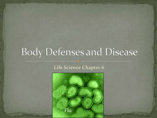 Life Science Chapter 6 Body Defenses and Disease Flu 