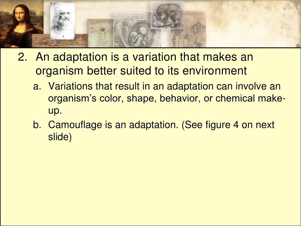 Chapter 6 Section 1: Ideas About Evolution