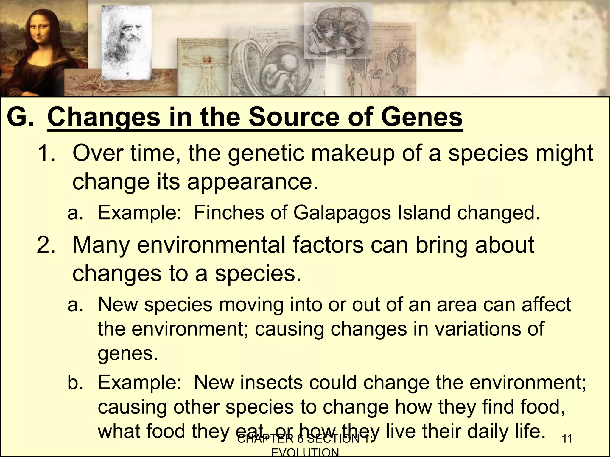 G. Changes in the Source of Genes
1. Over time, the genetic makeup of a species might
change its appearance.
a. Example: Finches of Galapagos Island changed.
2. Many environmental factors can bring about
changes to a species.
a. New species moving into or out of an area can affect
the environment; causing changes in variations of
genes.
b. Example: New insects could change the environment;
causing other species to change how they find food,
what food they eat, or how they live their daily life.CHAPTER 6 SECTION 1:
EVOLUTION
11
 