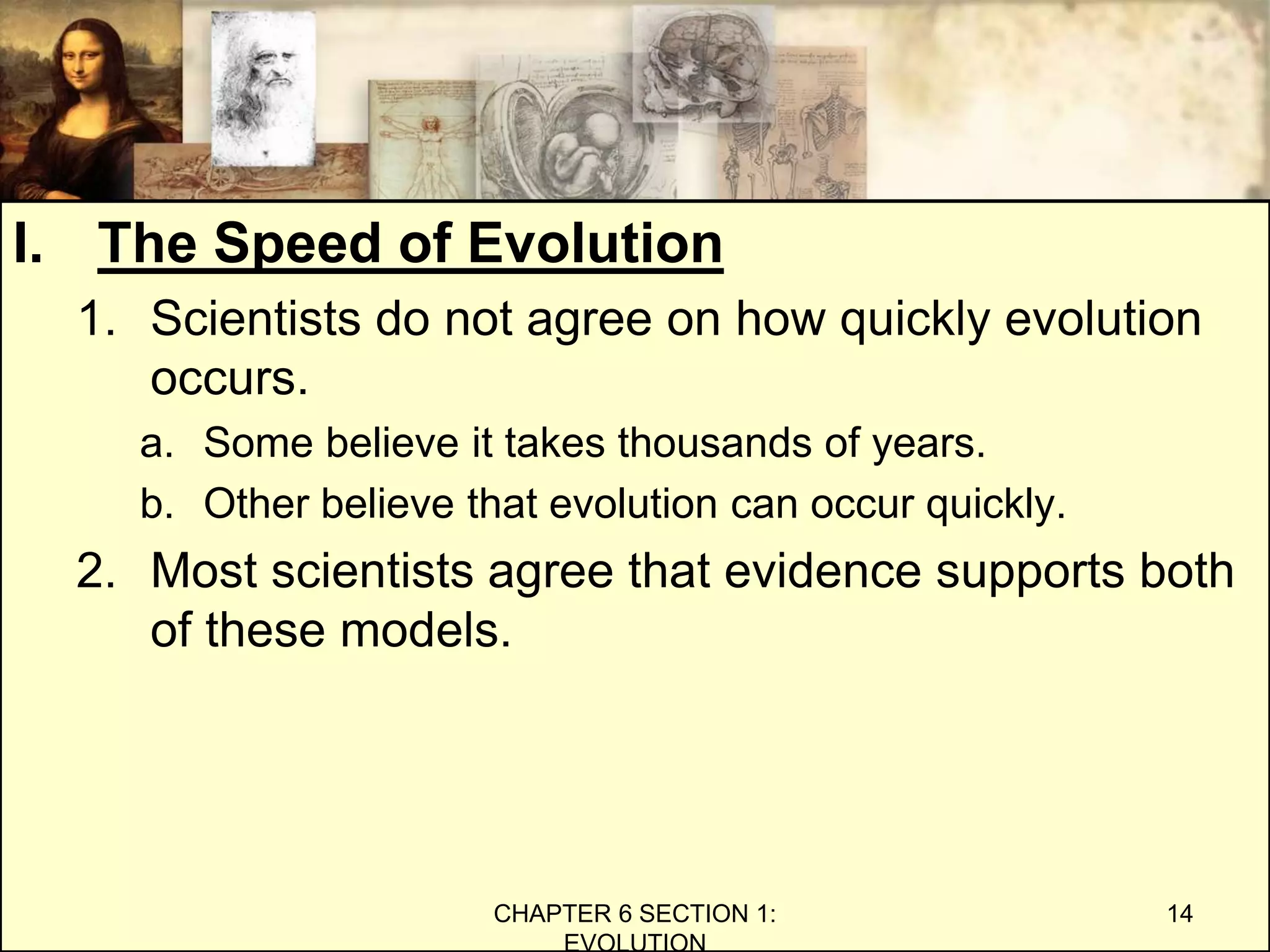 I. The Speed of Evolution
1. Scientists do not agree on how quickly evolution
occurs.
a. Some believe it takes thousands of years.
b. Other believe that evolution can occur quickly.
2. Most scientists agree that evidence supports both
of these models.
CHAPTER 6 SECTION 1:
EVOLUTION
14
 