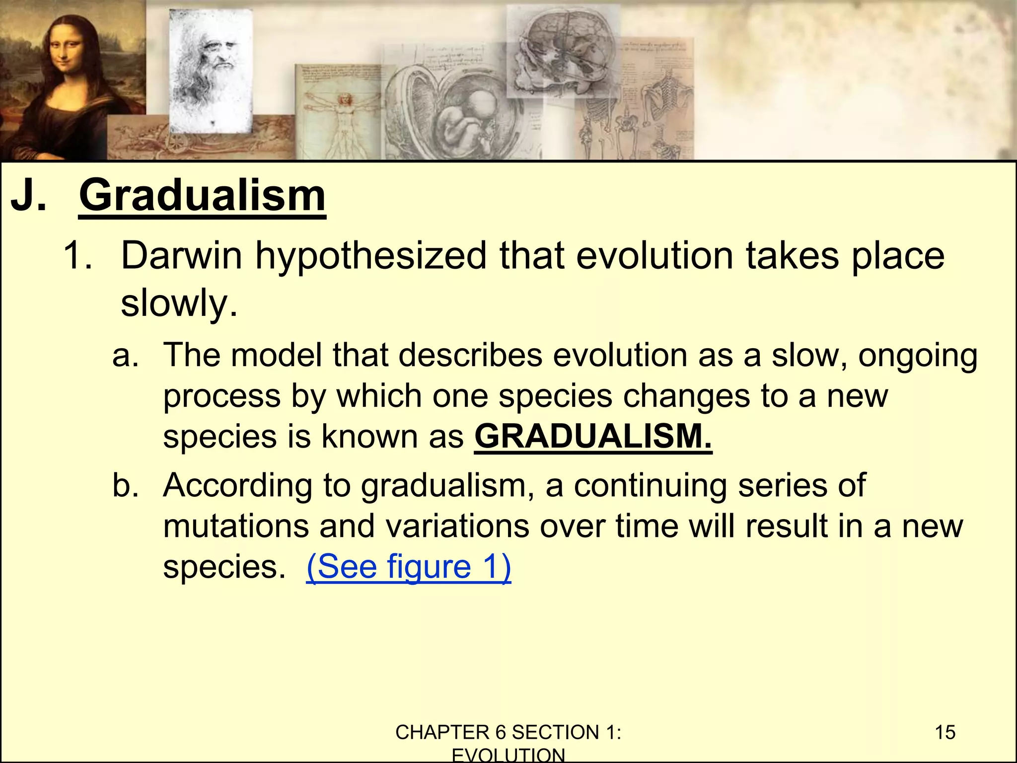 J. Gradualism
1. Darwin hypothesized that evolution takes place
slowly.
a. The model that describes evolution as a slow, ongoing
process by which one species changes to a new
species is known as GRADUALISM.
b. According to gradualism, a continuing series of
mutations and variations over time will result in a new
species. (See figure 1)
CHAPTER 6 SECTION 1:
EVOLUTION
15
 