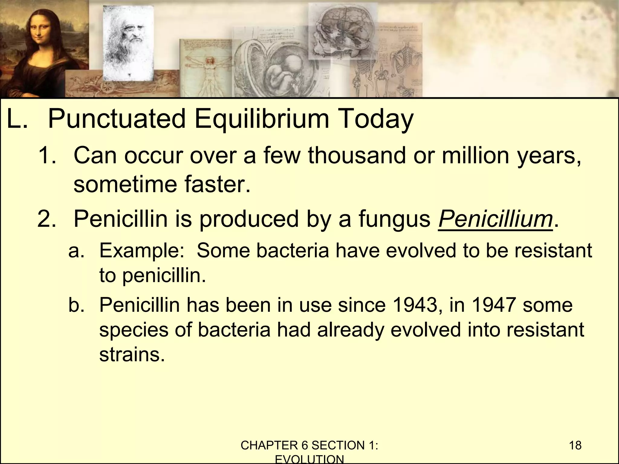 L. Punctuated Equilibrium Today
1. Can occur over a few thousand or million years,
sometime faster.
2. Penicillin is produced by a fungus Penicillium.
a. Example: Some bacteria have evolved to be resistant
to penicillin.
b. Penicillin has been in use since 1943, in 1947 some
species of bacteria had already evolved into resistant
strains.
CHAPTER 6 SECTION 1:
EVOLUTION
18
 