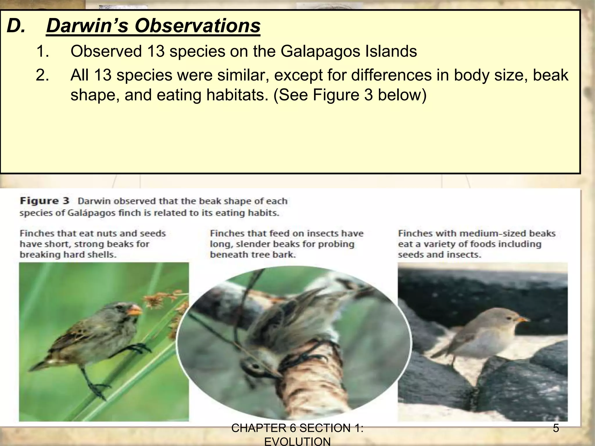 D. Darwin’s Observations
1. Observed 13 species on the Galapagos Islands
2. All 13 species were similar, except for differences in body size, beak
shape, and eating habitats. (See Figure 3 below)
CHAPTER 6 SECTION 1:
EVOLUTION
5
 