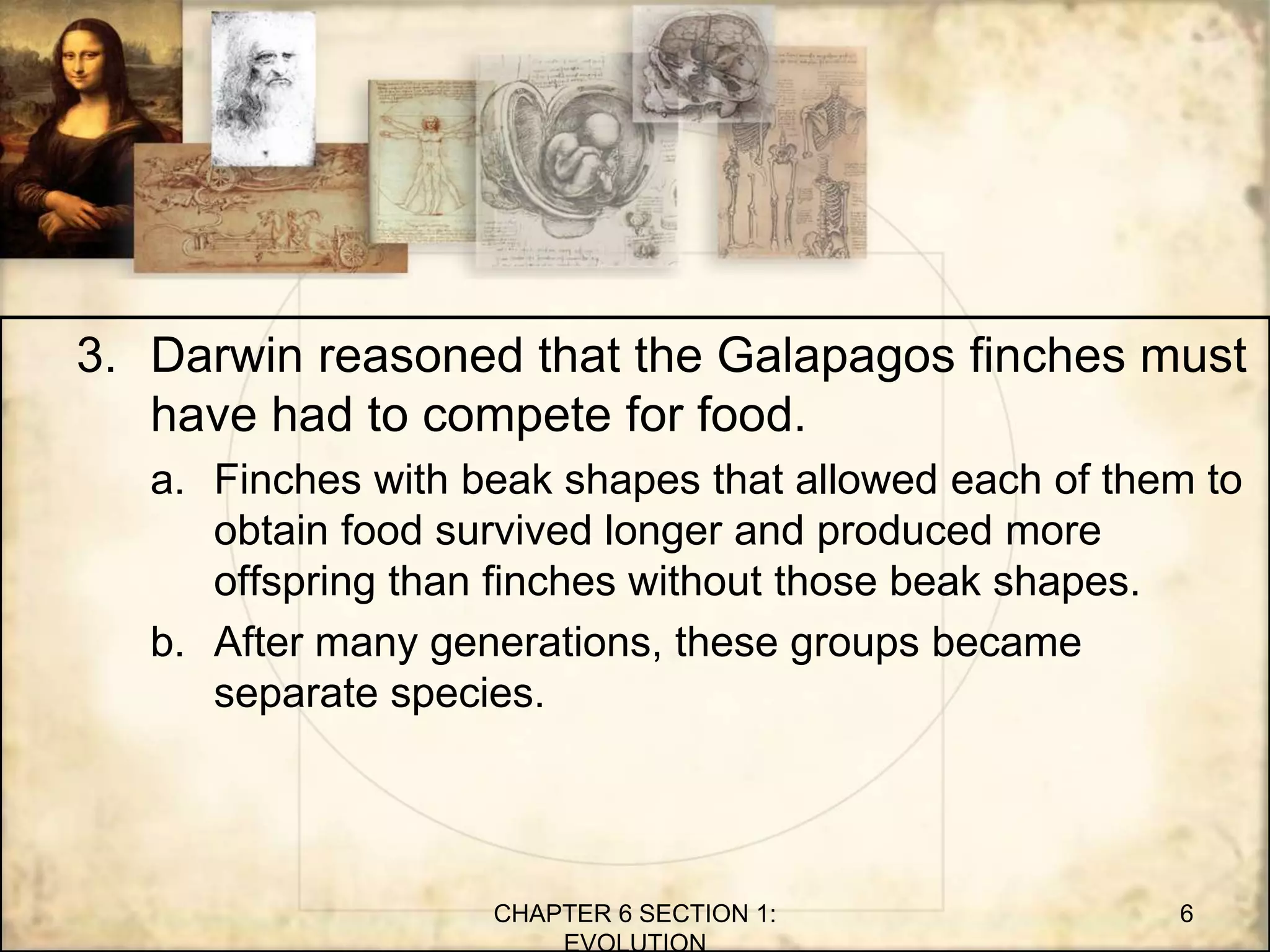 3. Darwin reasoned that the Galapagos finches must
have had to compete for food.
a. Finches with beak shapes that allowed each of them to
obtain food survived longer and produced more
offspring than finches without those beak shapes.
b. After many generations, these groups became
separate species.
CHAPTER 6 SECTION 1:
EVOLUTION
6
 