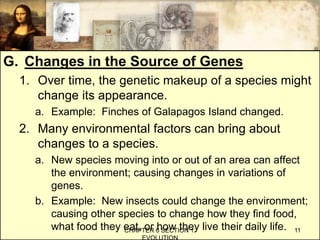 G. Changes in the Source of Genes
1. Over time, the genetic makeup of a species might
change its appearance.
a. Example: Finches of Galapagos Island changed.
2. Many environmental factors can bring about
changes to a species.
a. New species moving into or out of an area can affect
the environment; causing changes in variations of
genes.
b. Example: New insects could change the environment;
causing other species to change how they find food,
what food they eat, or how they live their daily life.CHAPTER 6 SECTION 1:
EVOLUTION
11
 