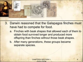 3. Darwin reasoned that the Galapagos finches must
have had to compete for food.
a. Finches with beak shapes that allowed each of them to
obtain food survived longer and produced more
offspring than finches without those beak shapes.
b. After many generations, these groups became
separate species.
CHAPTER 6 SECTION 1:
EVOLUTION
6
 