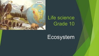 Life science
Grade 10
Ecosystem
 