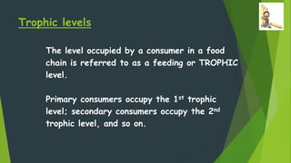 Trophic levels
The level occupied by a consumer in a food
chain is referred to as a feeding or TROPHIC
level.
Primary consumers occupy the 1st trophic
level; secondary consumers occupy the 2nd
trophic level, and so on.
 