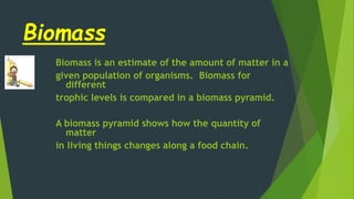 Biomass
Biomass is an estimate of the amount of matter in a
given population of organisms. Biomass for
different
trophic levels is compared in a biomass pyramid.
A biomass pyramid shows how the quantity of
matter
in living things changes along a food chain.
 
