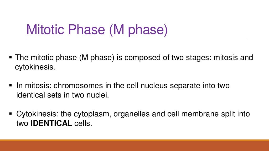 Life science grade 10