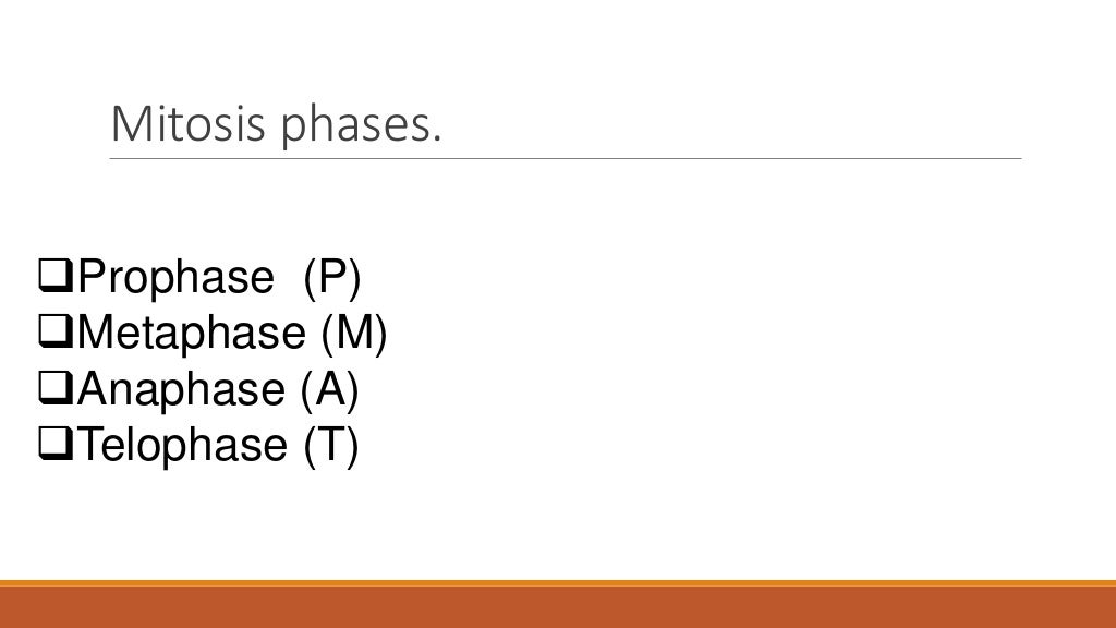 Life science grade 10