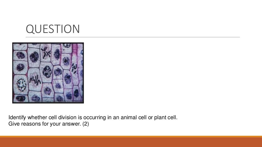 Life science grade 10