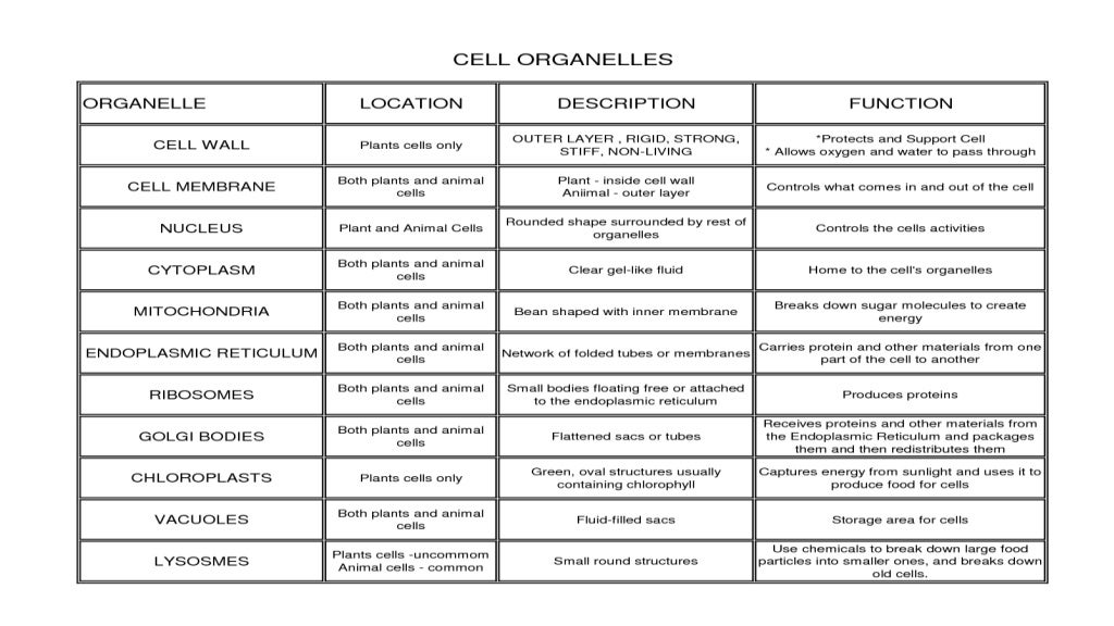 Life science grade 10
