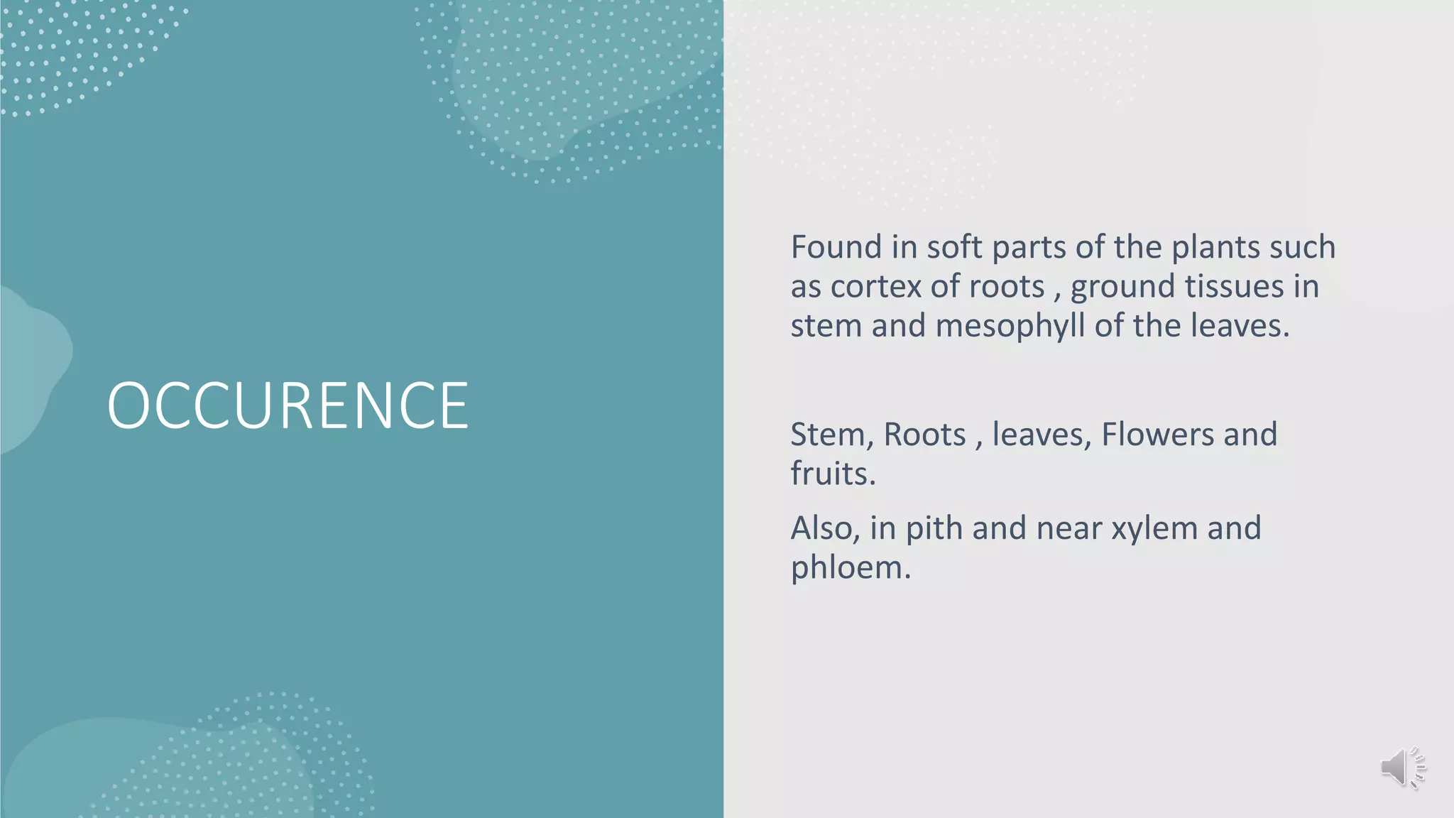 OCCURENCE
Found in soft parts of the plants such
as cortex of roots , ground tissues in
stem and mesophyll of the leaves.
Stem, Roots , leaves, Flowers and
fruits.
Also, in pith and near xylem and
phloem.
 