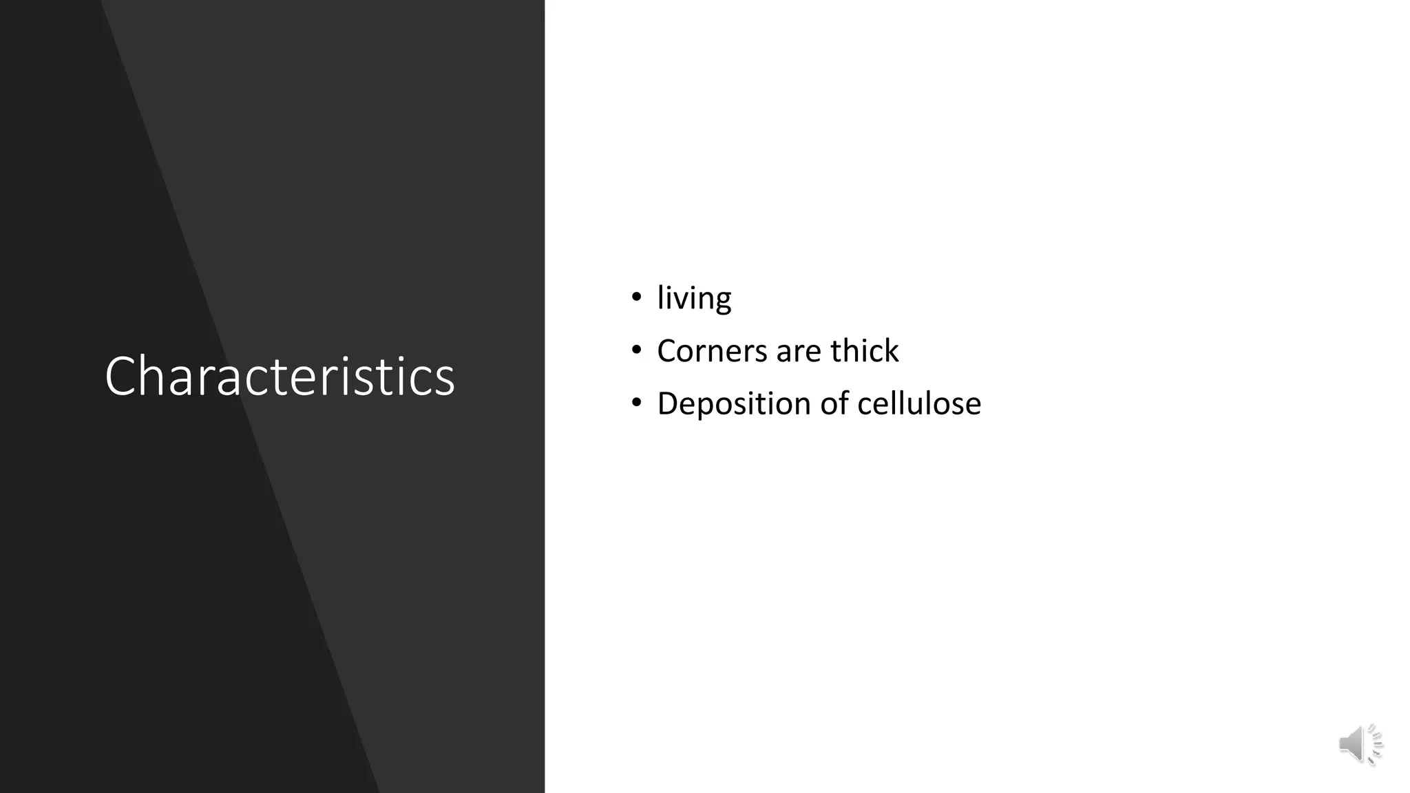 Characteristics
• living
• Corners are thick
• Deposition of cellulose
 